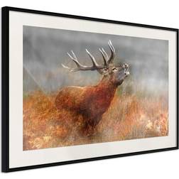 Arkiio Affisch Roaring Deer [Poster] 45x30 Poster